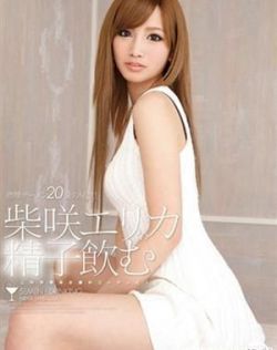 免费网站黄页网