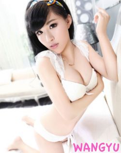 免费的成人动漫系列